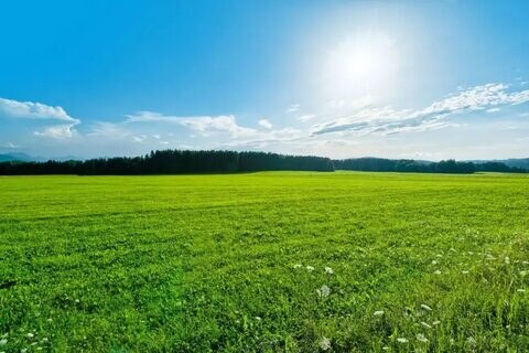 Земельный участок, Продажа, обл. Московская, г. Подольск, д. Кутьино, тер. ДНП Кутьино, д. 65/6