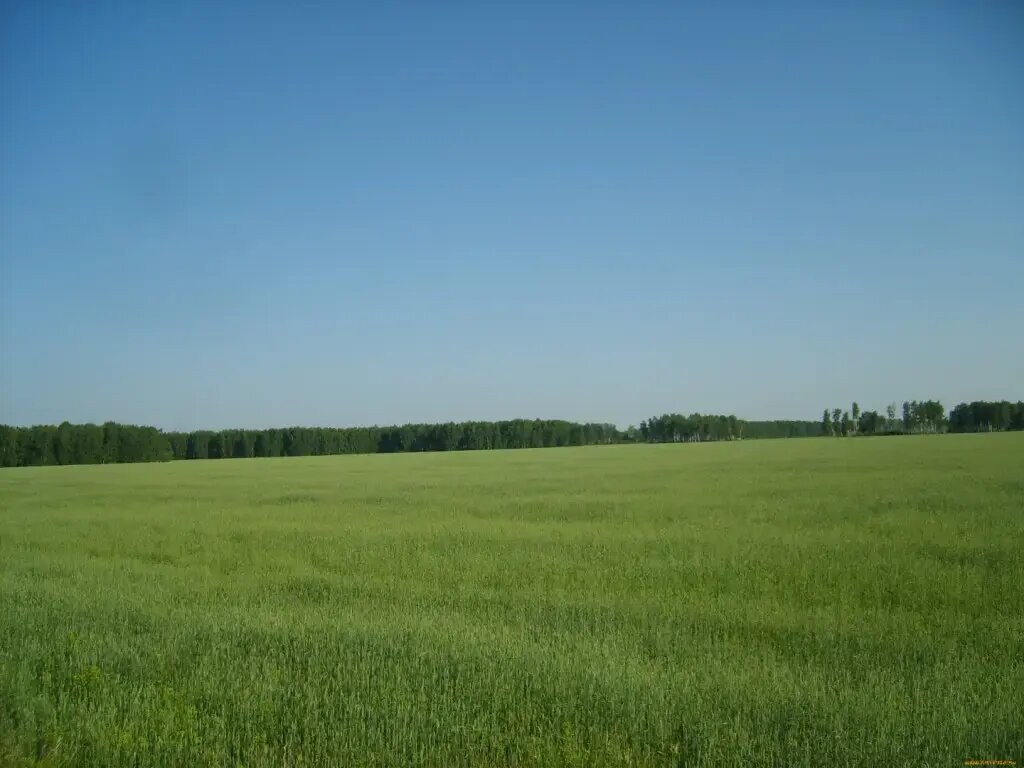 Участок 290 га, продажа, г. Кашира, Каширский р-н — фотография 1
