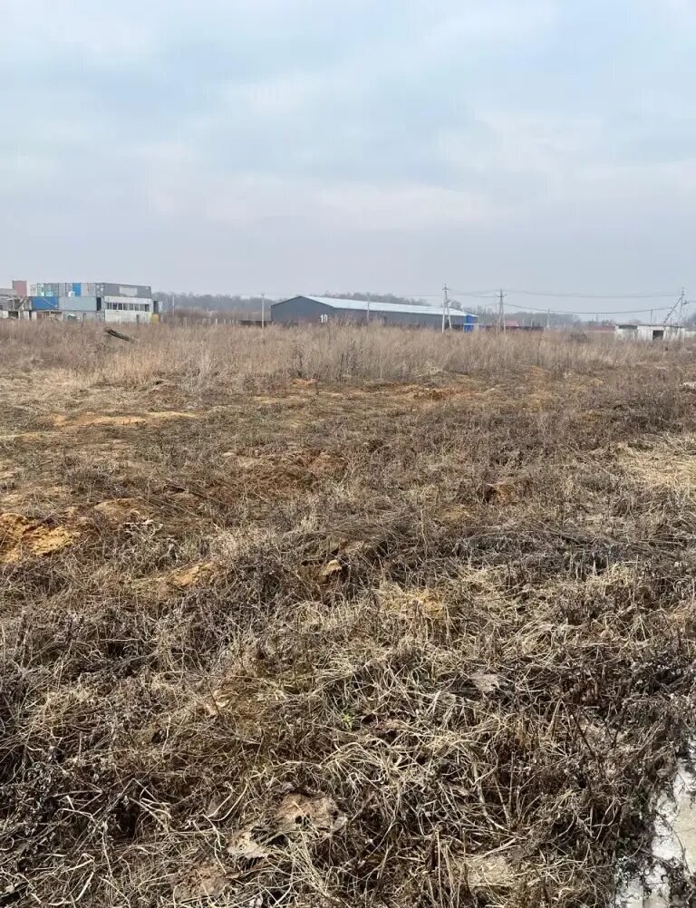 Участок 68 га, продажа, Раменский р-н — фотография 1