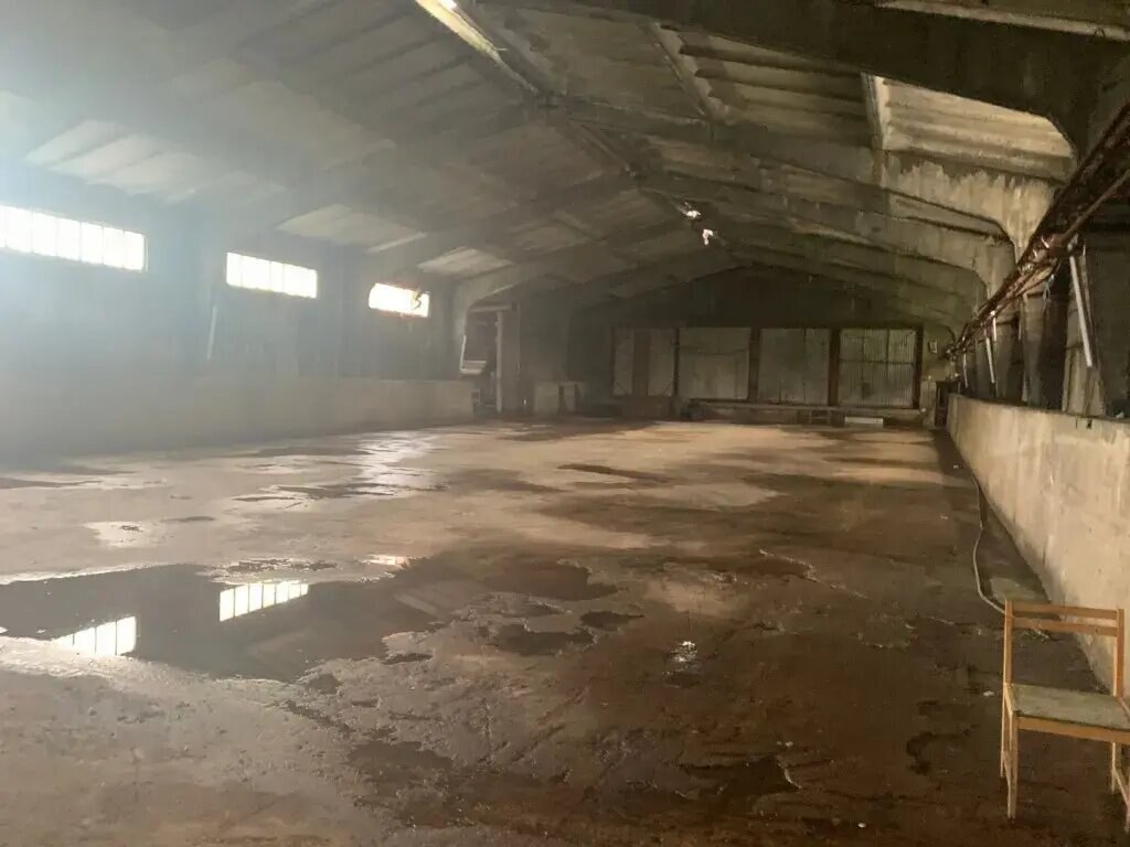 Отдельное здание 4 800 м², продажа, Богородский р-н — фотография 1