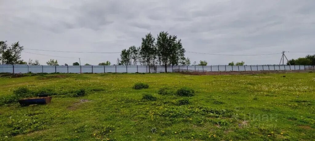 Участок 400 га, продажа, г. Орехово-Зуево, Орехово-Зуевский р-н — фотография 1
