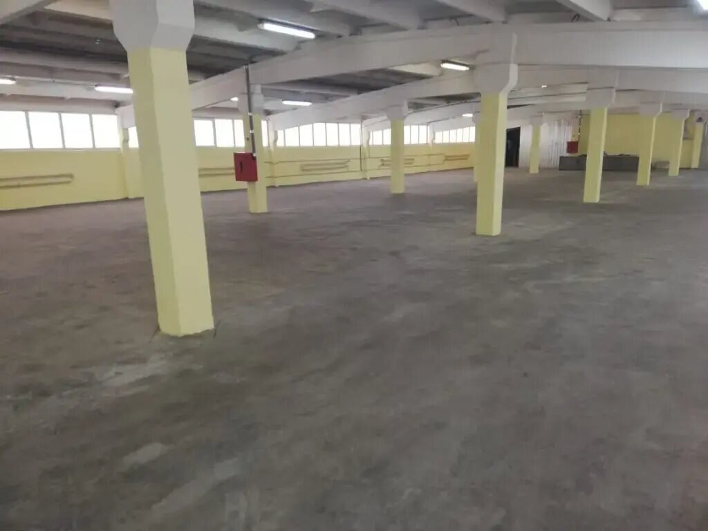 Отдельное здание 1 200 м², аренда, д. Пуршево, Московская обл. — фотография 1
