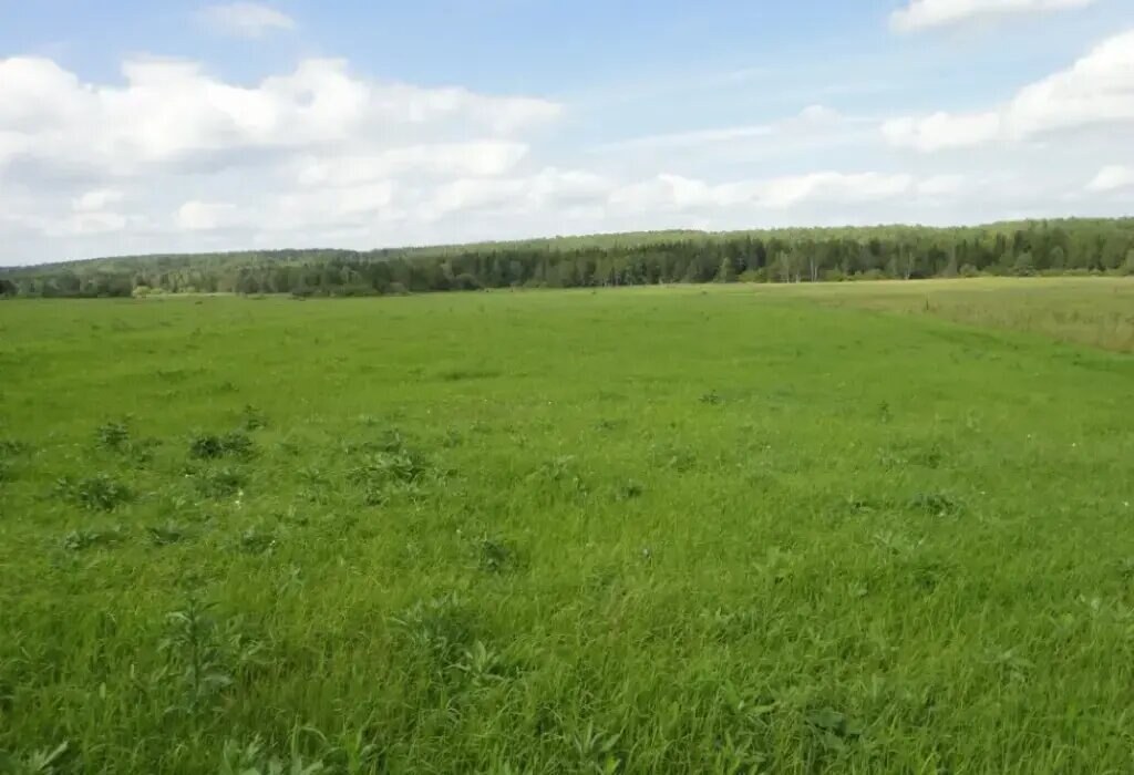 Участок 400 га, продажа, д. Житнево, Московская обл. — фотография 1